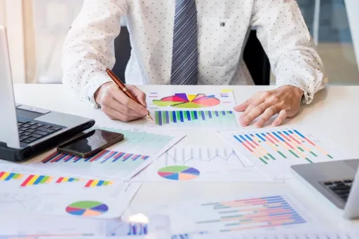 ROI Audit